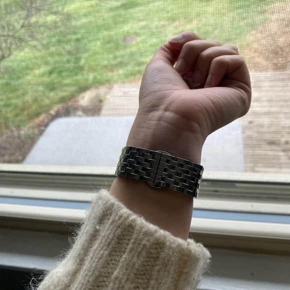 Quince 38-42mm Apple Watch Stainless Steel Watch Band - Picture 8 of 13